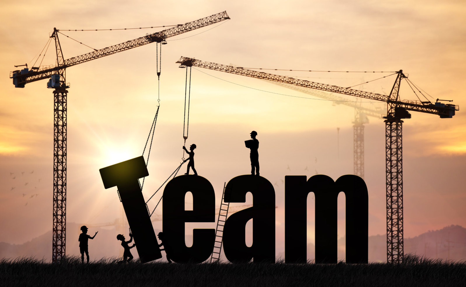 wings-of-trust-teambuilding